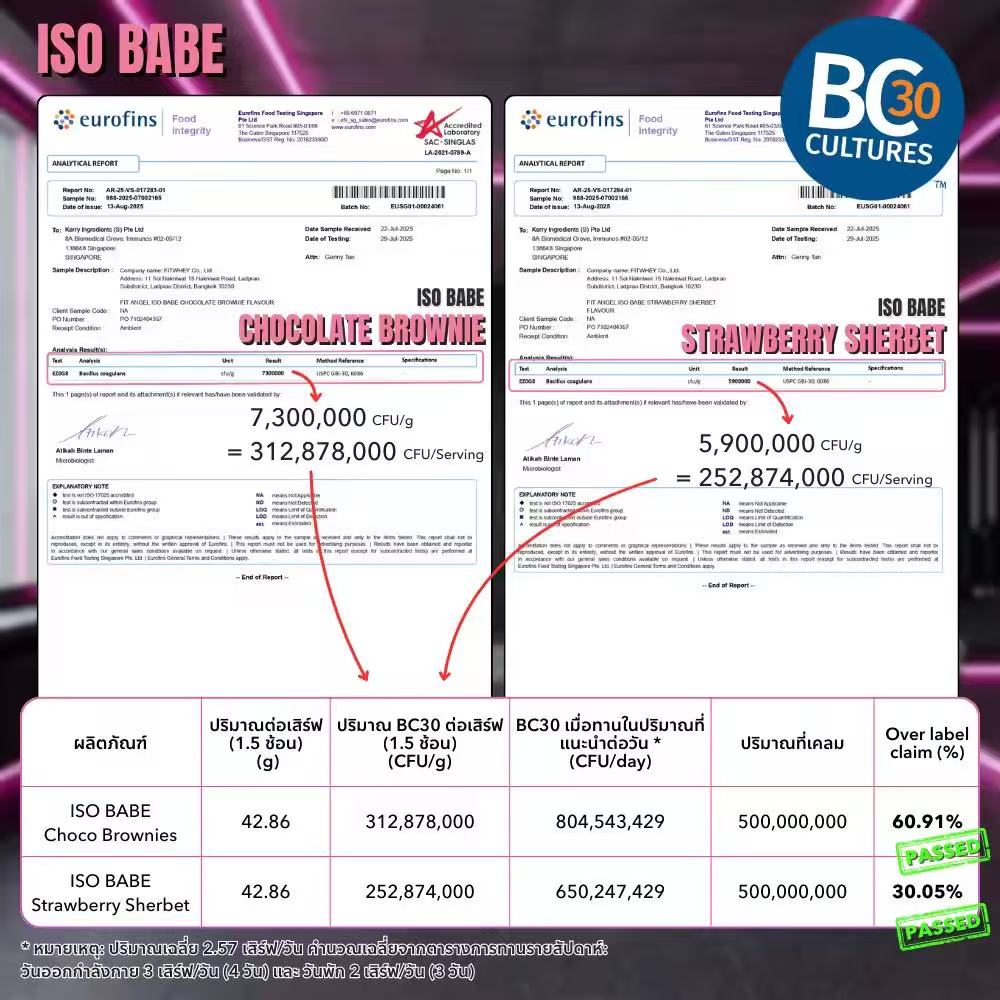 Fit Angel ISO BABE+Bc30 5lb - Image 4