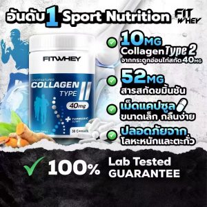 FitWhey II 型胶原蛋白 + 姜黄